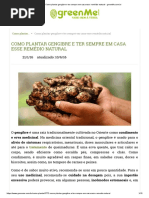Como Plantar Gengibre e Ter Sempre Em Casa Esse Remédio Natural - GreenMe.com.Br