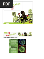 powerpoint_imunidade.ppt.pdf