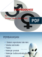 Anatomi Dan Fisiologi Pertemuan 9