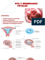 Placenta y Membranas Final