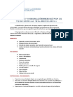 OBSERVACON MUCOSA BUCAL.pdf