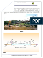 Informe Puente Colgante