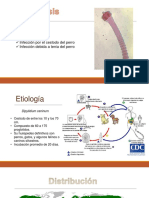 Enfermedades Por Céstodos