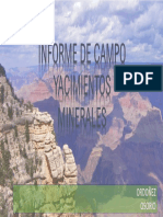 informe salida de campo yacimientos minerales