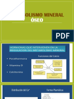 Metabolismo Mineral Oseo