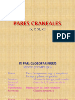 Pares Craneanos IX, X, XI, XII