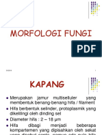 Kuliah 2 (Morfologi)