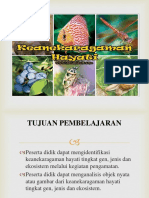 PPT