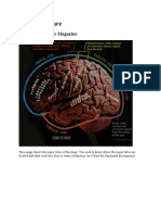 Brain Structure Images Explained in 40 Characters