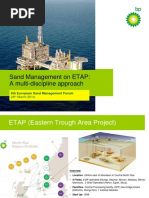 4 Sand Managment On ETAP A Multi Discipline Approach Nick Blyth BP