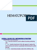 Hematopoiesis - The Process of Blood Cell Production