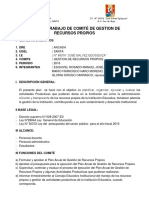 Plan de Trabajo de Comite de Gestion de Recursos Propios