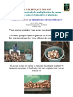 Piffiche - PDF Pif Important