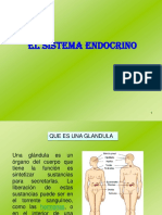 Sistema Endocrino Isaac