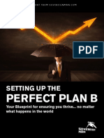 SovereignMan_Perfect_Plan_B_Guide.pdf