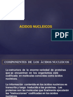 Ácidos Nucleicos