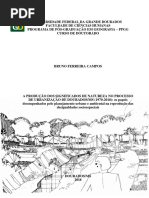 Bruno Ferreira Campos- Tese_2018_FINAL.pdf