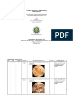 UJI HISTOKIMIA TUMBUHAN.docx