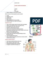 Lymphatic Structures: Lymph Vessels and Lacteals