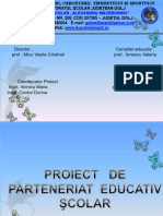 Proiect de Parteneriat Ion Creanga