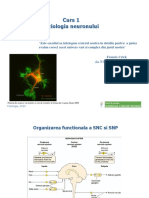 Curs1.pdf