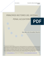 Principios Rectores Del Sistema Penal Ac PDF