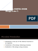 MIKROBIOLOGI LINGKUNGAN - ENZIM