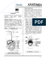 Historia Teoria Completa Callao