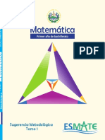 Sugerencia Metodologica 1er Ano-Tomo 1 PDF