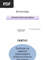 Anatomia Interna e Fisiologia Dos Insetos