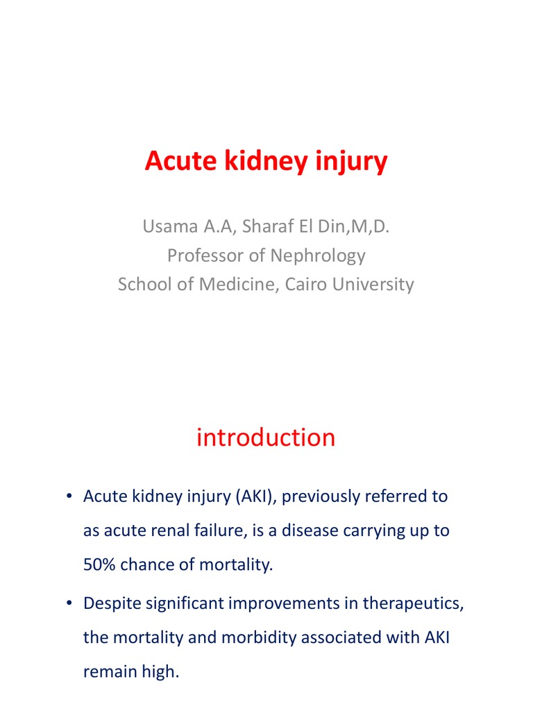 Acute Kidney Injury | PDF | Kidney | Urinary System