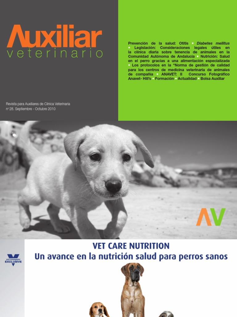 Diabetes Felina Actualizacin En El Diagnstico Y Tratamiento