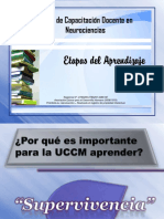 Etapas del aprendizaje.pdf