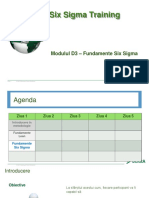 Modul D3p - Fundamente Six Sigma