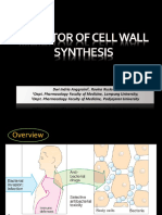 3.Ab-Inhibitor Cell Wall Synth