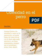 Cv_41_Obesidad en El Perro