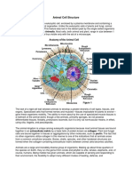 Animal Cell of Project