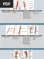 Extensor Wad Strain: Causes and Treatment | PDF | Anatomical Terms Of ...
