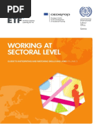 Working at Sectoral Level Matching Skills and Jobs PDF