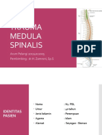 Trauma Medula Spinalis