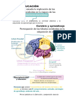 Infografía Neuroeducación Imagen