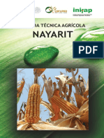 Agenda Técnica Nayarit OK.pdf