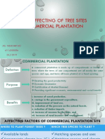 Factors Affecting Tree Site Selection for Commercial Plantations