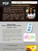 Simone Carneiro Maldonado