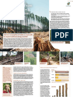 DriverDeforestation Timber ENG