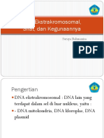 DNA Ekstrakromosomal, Sifat, Dan Kegunaannya: Soraya Rahmanisa