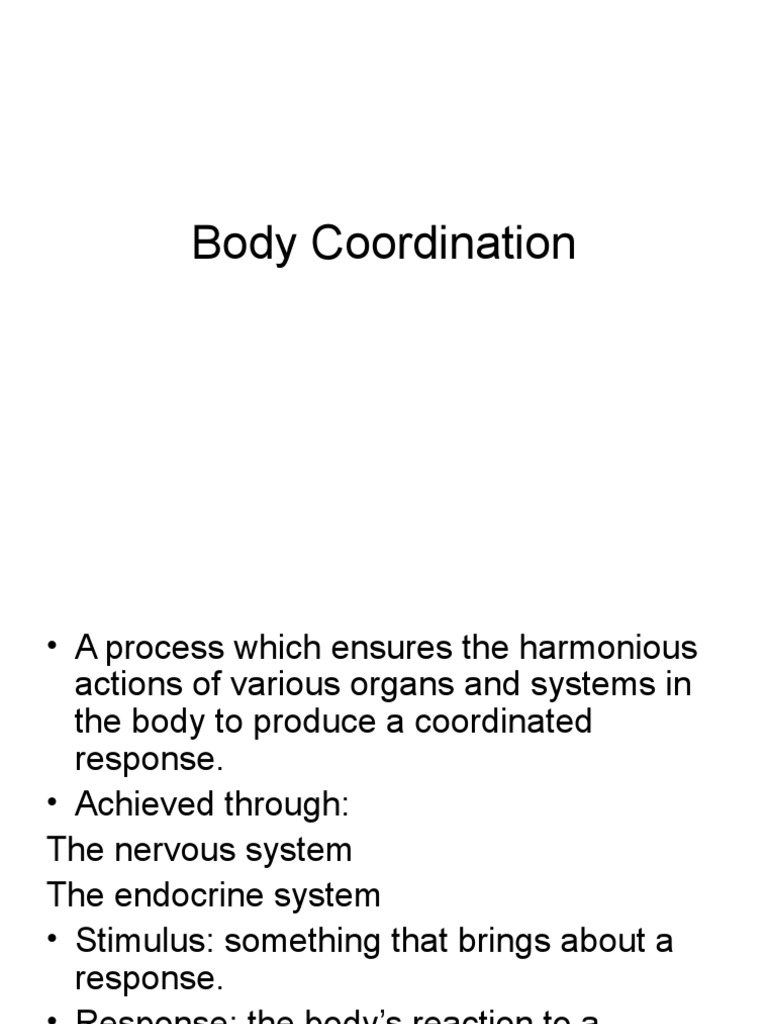 Reflex Actions in Nervous System | PDF | Nerve | Nervous System