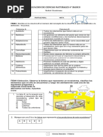 Ciencias Cuarto Prueba