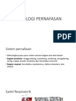 Histologi Pernafasan