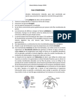 Filo Ctenóforos.pdf